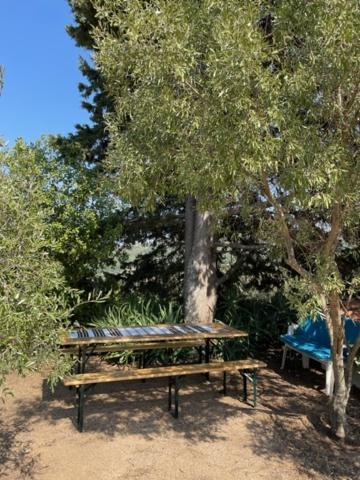 Stazzu Lu Chissoni Villa Luogosanto Buitenkant foto